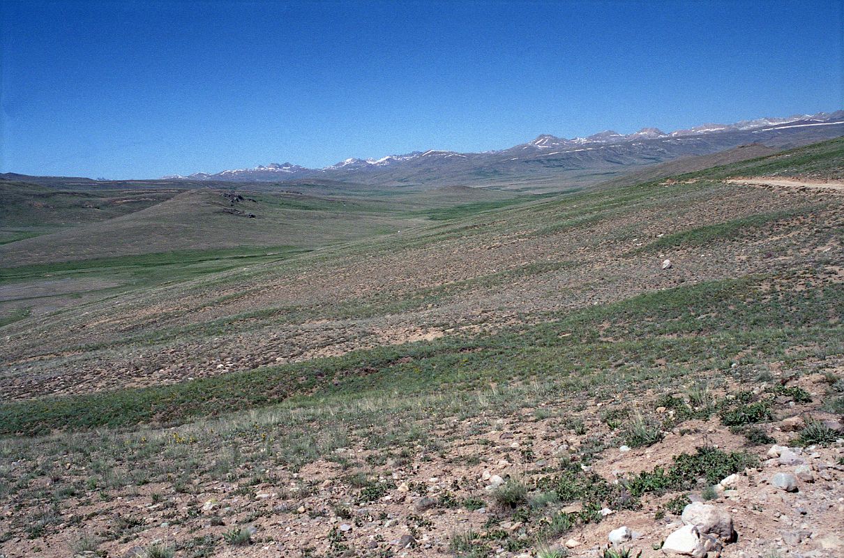 02 Deosai Plains Above Skardu The Deosai Plain is a high alpine plateau scattered with small tufts of grass and small flowers.